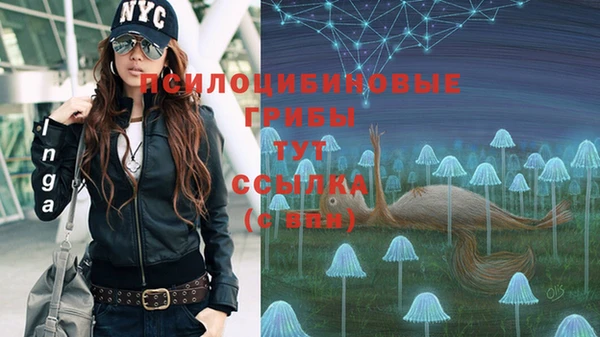 ECSTASY Беломорск
