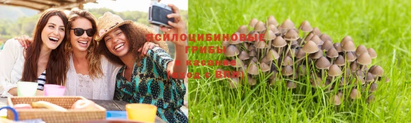 кокаин премиум Белокуриха