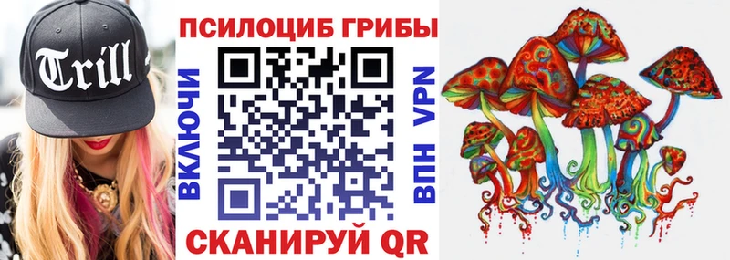наркотики  Чёрмоз  Галлюциногенные грибы GOLDEN TEACHER 